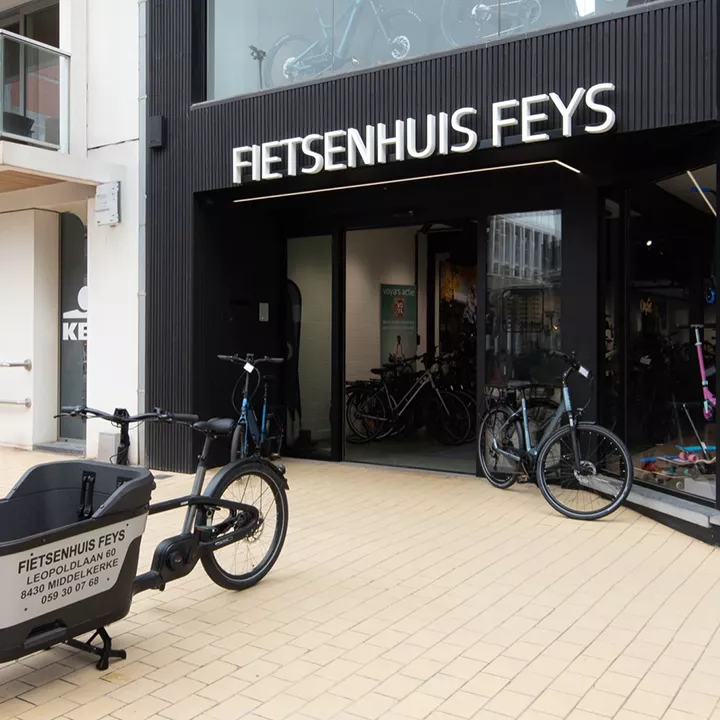 feys-65 2